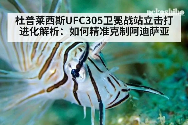 杜普莱西斯UFC305卫冕战站立击打进化解析：如何精准克制阿迪萨亚 - AGAPP