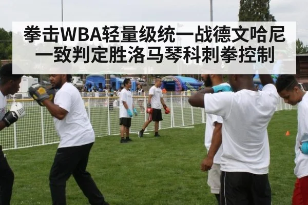 拳击WBA轻量级统一战德文哈尼一致判定胜洛马琴科刺拳控制 | AGAPP