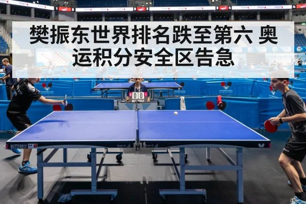 樊振东世界排名跌至第六 奥运积分安全区告急