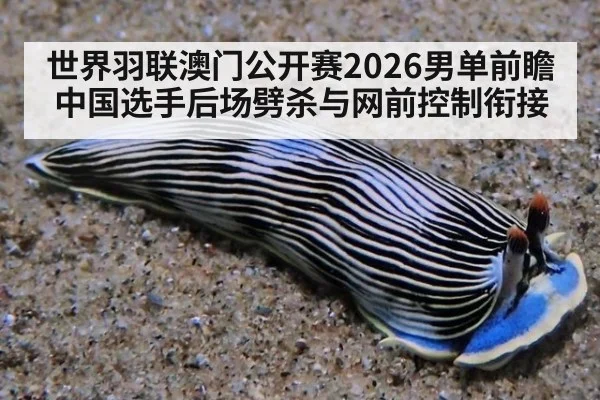 世界羽联澳门公开赛2026男单前瞻 中国选手后场劈杀与网前控制衔接