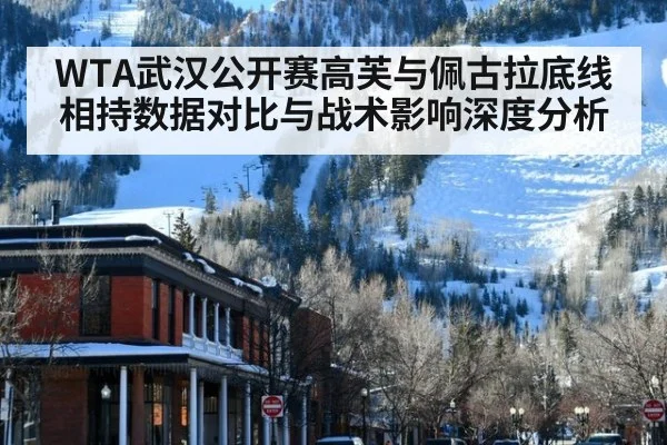 WTA武汉公开赛高芙与佩古拉底线相持数据对比与战术影响深度分析